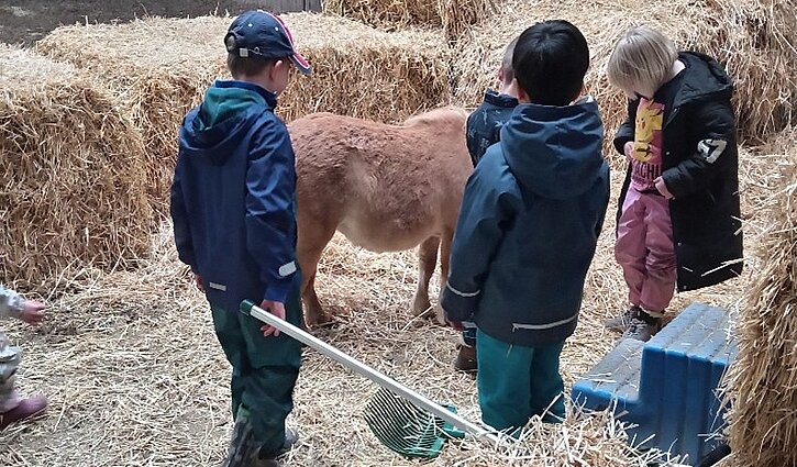 Das Bild zeigt Kinder im Vorschulalter auf dem Bauernhof bei den Tieren