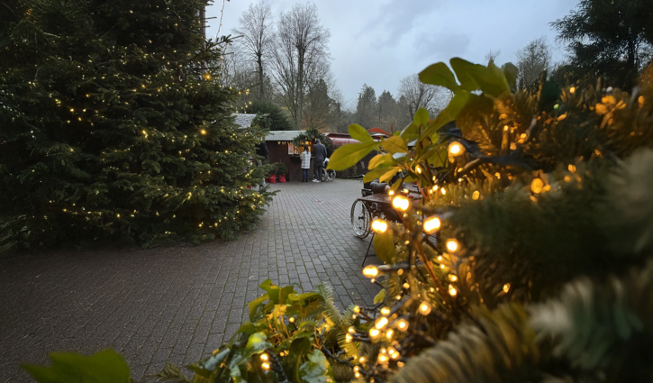 Weihnachtsmarkt 2024 im Seniorenheim Neandertal