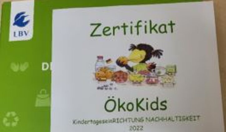 Zu sehen ist die Urkunde "Zertifikat Öko-Kids"